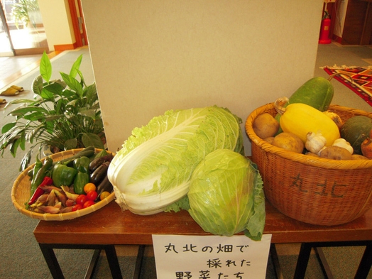 自家栽培のお米と自家栽培野菜が好評！八方温泉で寛ぐ宿【温泉】